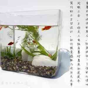 大型玻璃魚缸粘接方法：diy大型玻璃魚缸粘接方法