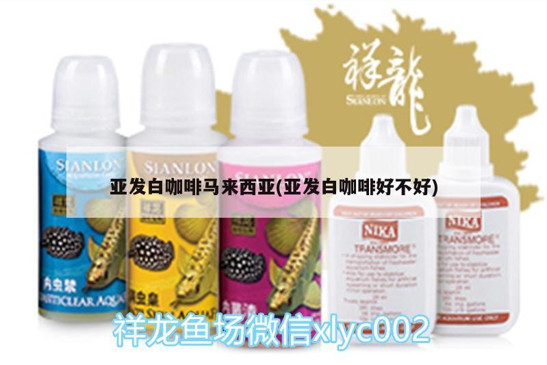 亞發白咖啡馬來西亞(亞發白咖啡好不好)
