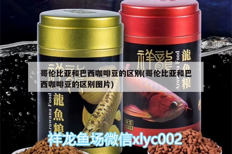魚缸用增氧泵價格是多少:魚缸增氧機-xtrac增氧機-xtrac增氧機 哥倫比亞和巴西咖啡豆的區別(哥倫比亞和巴西咖啡豆的區別圖片) 馬來西亞咖啡 哥倫比亞和巴西咖啡豆的區別(哥倫比亞和巴西咖啡豆的區別圖片) 哥倫比亞和巴西咖啡豆的區別(哥倫比亞和巴西咖啡豆的區別圖片) 馬來西亞咖啡