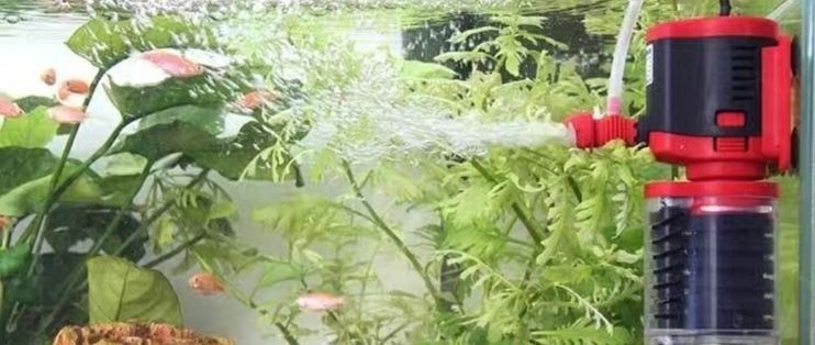 yee和森森氧氣泵哪個好