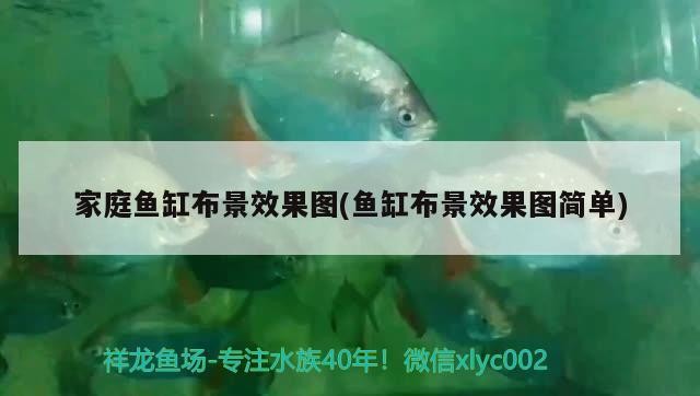 創寧水泵屬于哪個公司旗下的：創寧水泵屬于哪個公司旗下的產品