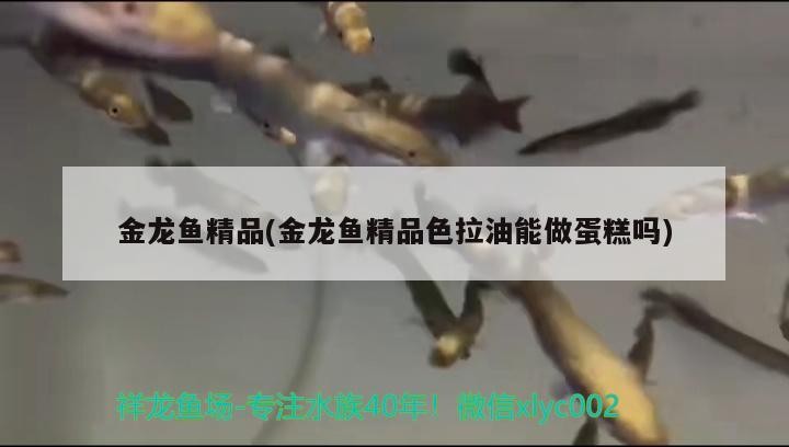 創寧水泵屬于哪個公司旗下的：創寧水泵屬于哪個公司旗下的產品