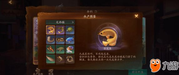 定西龍魚vs祥龍魚場（祥龍魚場和定西龍魚哪個好）