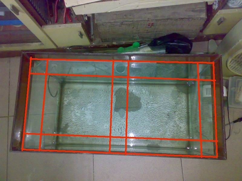 80cm魚(yú)缸用加拉筋嗎：\80cm魚(yú)缸用加拉筋嗎\"80cm魚(yú)缸拉筋的注意事項(xiàng)