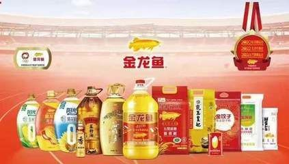 金龍魚價格策略優化方案設計：金龍魚價格策略優化方案