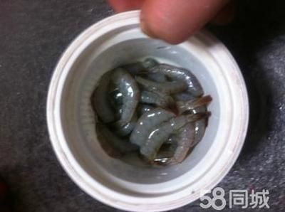 龍魚只咬碎,不吞食可以嗎:龍魚只咬碎食物而不吃怎么辦 龍魚百科 第1張 龍魚只咬碎,不吞食可以嗎:龍魚只咬碎食物而不吃怎么辦 龍魚只咬碎,不吞食可以嗎:龍魚只咬碎食物而不吃怎么辦 龍魚百科 第1張