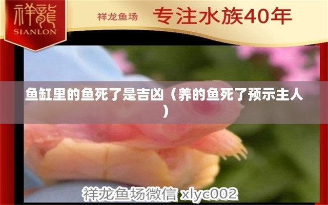 水族店魚缸怎么做的
