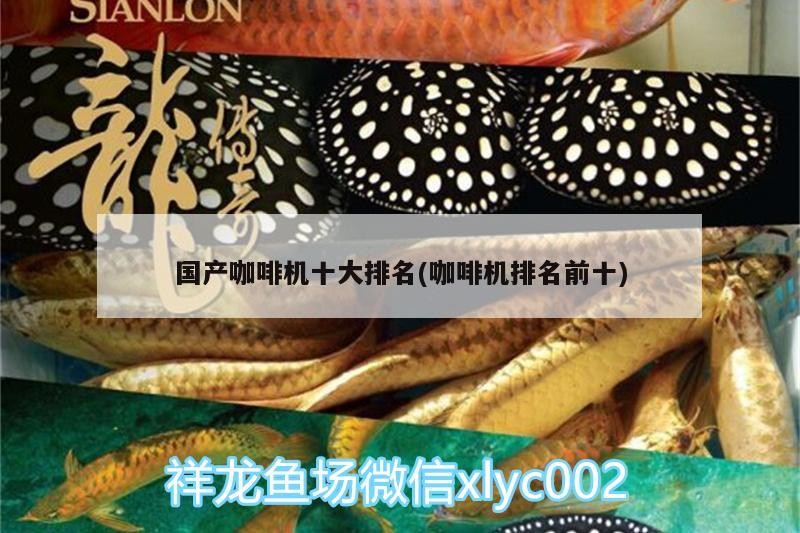 國產(chǎn)咖啡機十大排名(咖啡機排名前十)