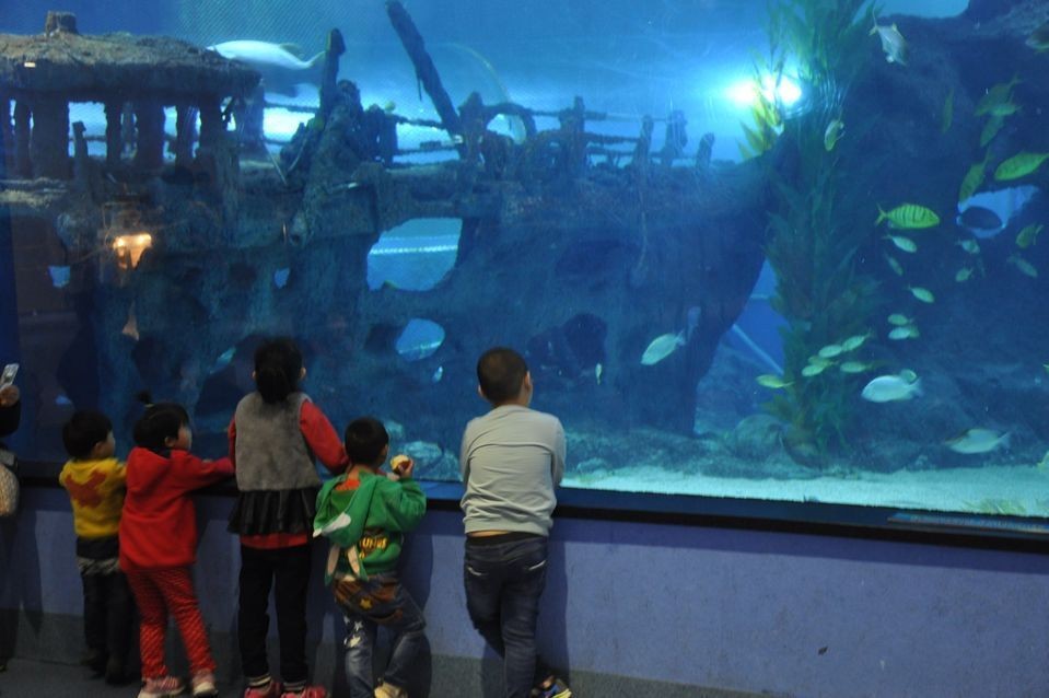 聊城水族館vs祥龍魚場（聊城水族館和祥龍魚場哪個好）