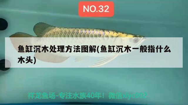 魚缸沉木處理方法圖解(魚缸沉木一般指什么木頭)