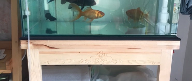 可麗愛魚缸系列（可麗愛魚缸系列區別）