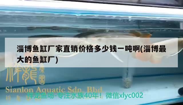 淄博魚缸廠家直銷價格多少錢一噸啊(淄博最大的魚缸廠)