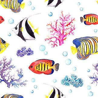 虎魚背景紙：養魚老道最不愛做的就是這些所謂的技術活技術活