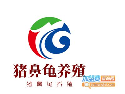 豬鼻龜30公分價(jià)格：30公分的豬鼻龜多少錢一斤