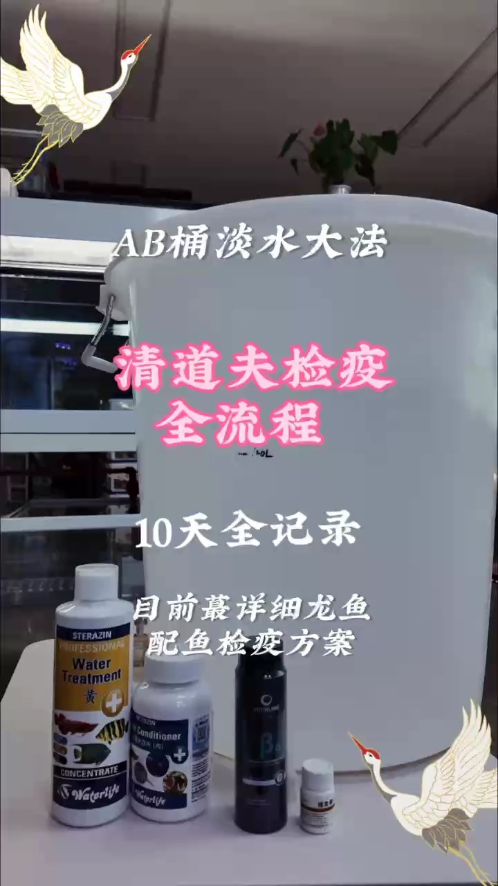 最全龍魚(yú)配魚(yú)及清道夫檢疫方法