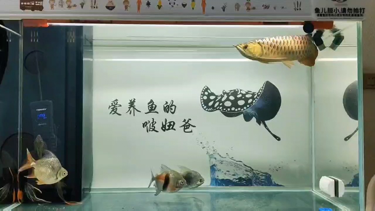 混經驗