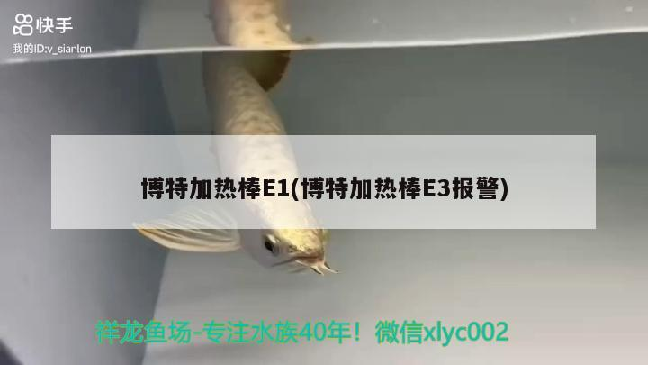 博特加熱棒E1(博特加熱棒E3報警)