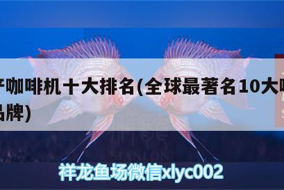 國(guó)產(chǎn)咖啡機(jī)十大排名(全球最著名10大咖啡機(jī)品牌)