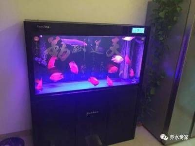 森森魚缸1058360722