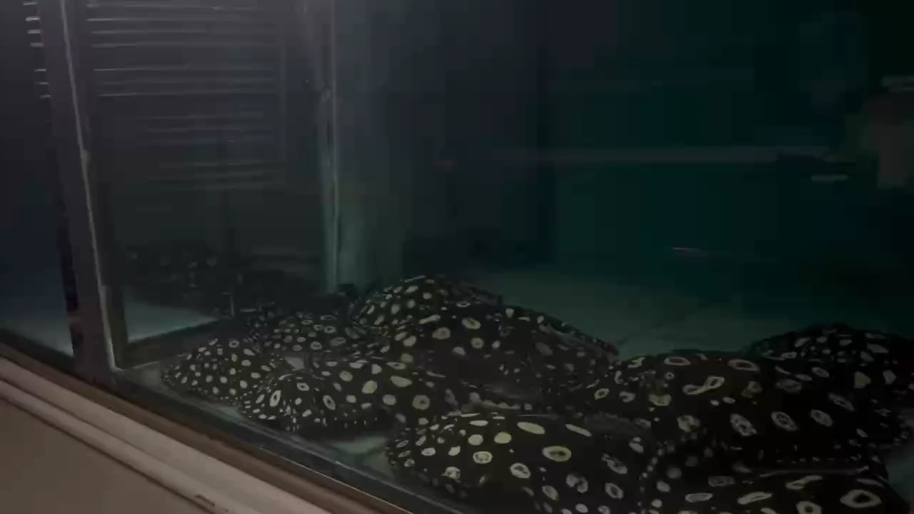 健健康康順順利