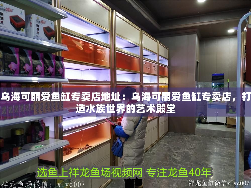烏海可麗愛魚缸專賣店地址：烏海可麗愛魚缸專賣店，打造水族世界的藝術殿堂