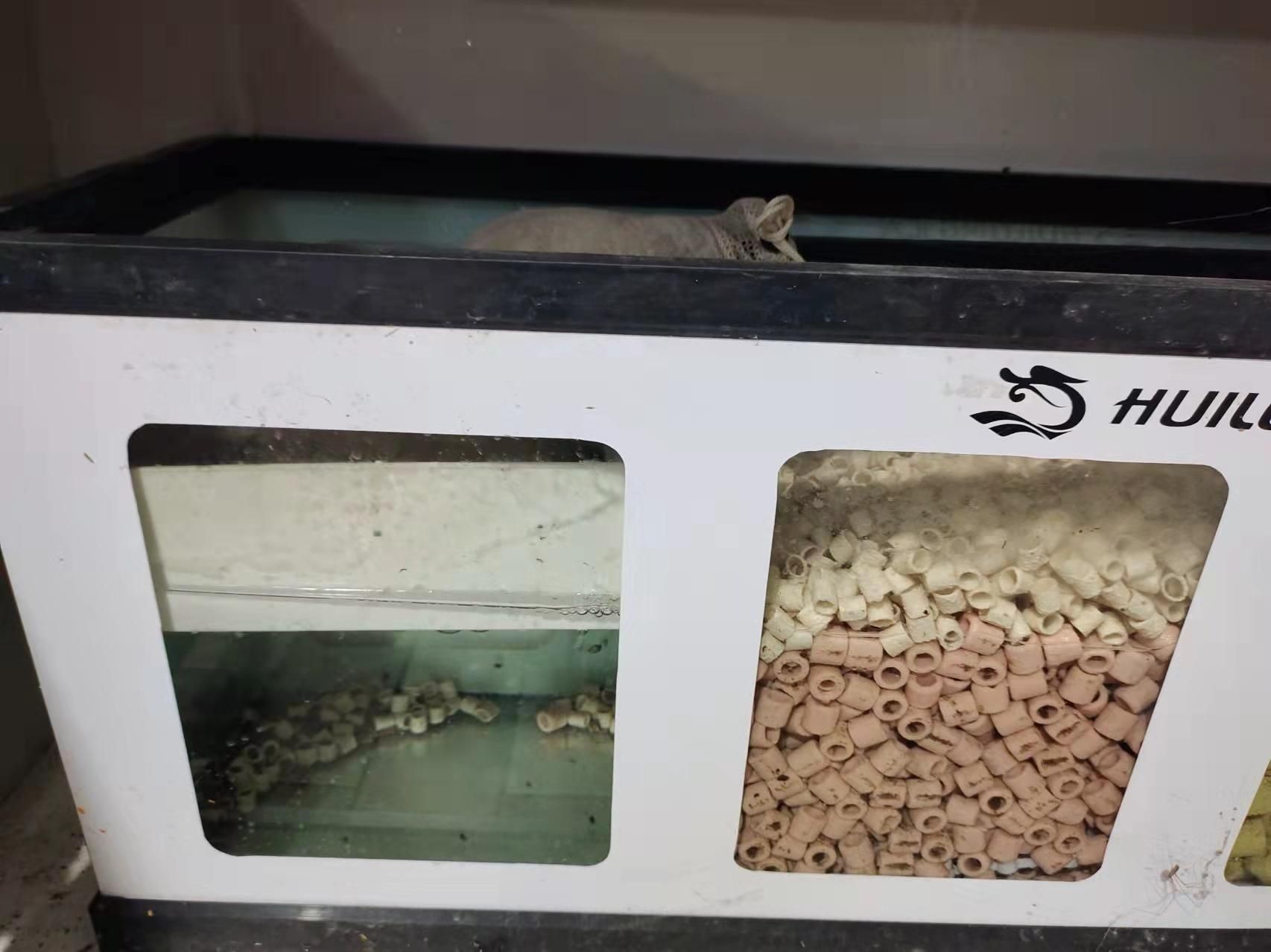 森森魚缸干濕分離盒濾棉擺放