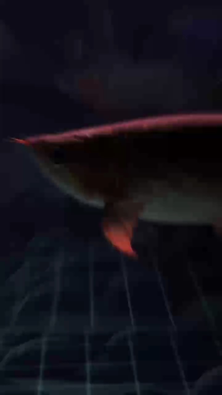 每日睇都睇唔厭！！