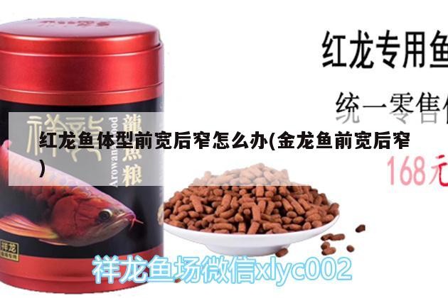 紅龍魚體型前寬后窄怎么辦(金龍魚前寬后窄)