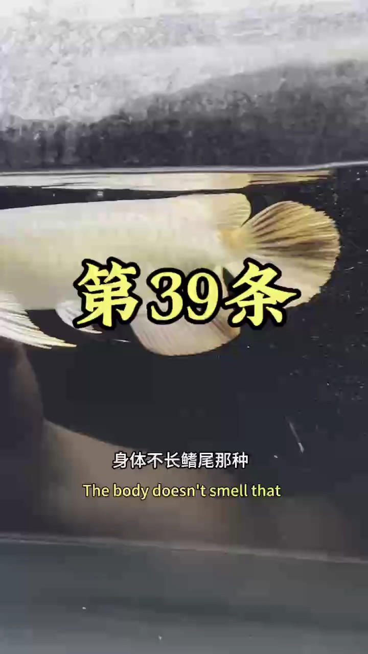 花了3800買回來的