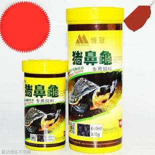 豬鼻龜幼崽喂食什么：豬鼻龜喂多少合適