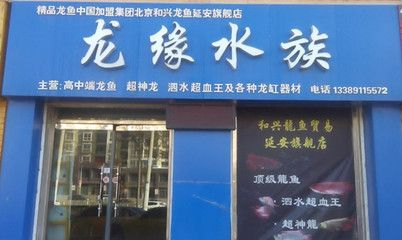 延安龍魚vs祥龍魚場（延安龍魚與祥龍魚場有什么區別？）