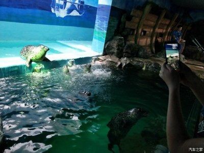 株洲水族館vs祥龍魚場（株洲水族館與祥龍魚場各有側重）