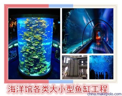 株洲水族館vs祥龍魚場（株洲水族館與祥龍魚場各有側重）