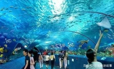 株洲水族館vs祥龍魚場（株洲水族館與祥龍魚場各有側重）