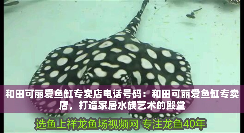 和田可麗愛魚缸專賣店電話號碼：和田可麗愛魚缸專賣店，打造家居水族藝術的殿堂