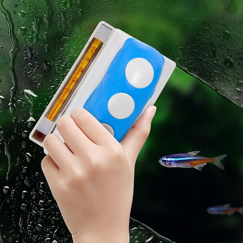 大魚缸清洗怎么把水倒出來的：清洗大魚缸倒水的方法