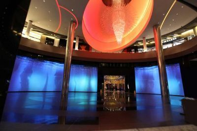 澳門水族館vs祥龍魚場（澳門水族館和祥龍魚場各自在自己的領(lǐng)域內(nèi)有著顯著的特點和優(yōu)勢）