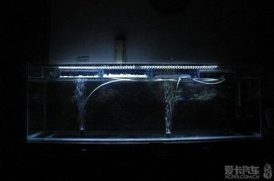 50魚缸二氧化碳開多大：50魚缸二氧化碳的使用方法