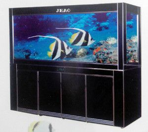 251618的魚缸有多大：25