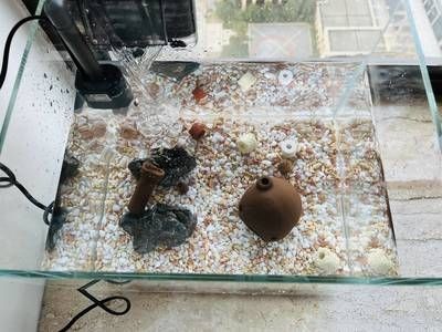 30厘米小魚缸造景水泵安裝視頻：30厘米小魚缸造景水泵安裝教程