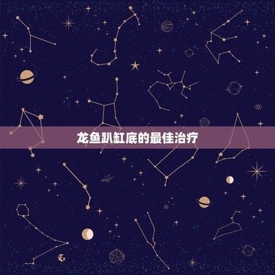 龍魚趴缸底是什么原因造成的vs祥龍魚場：如何預(yù)防龍魚趴缸底