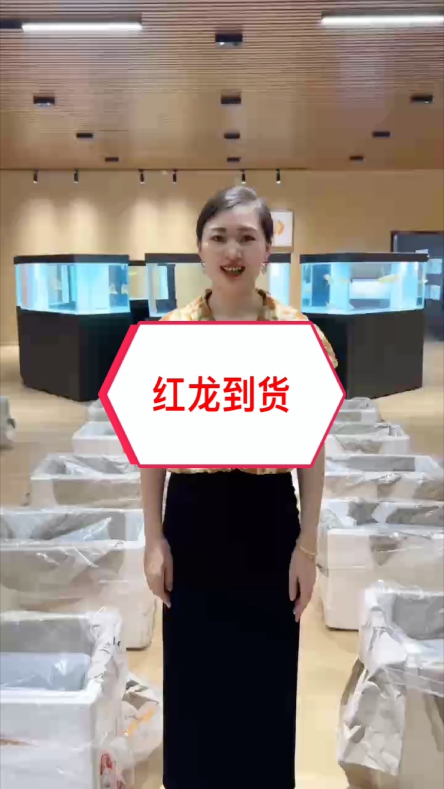 印尼紅龍到貨
