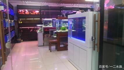 蘇州哪里賣魚缸玻璃的