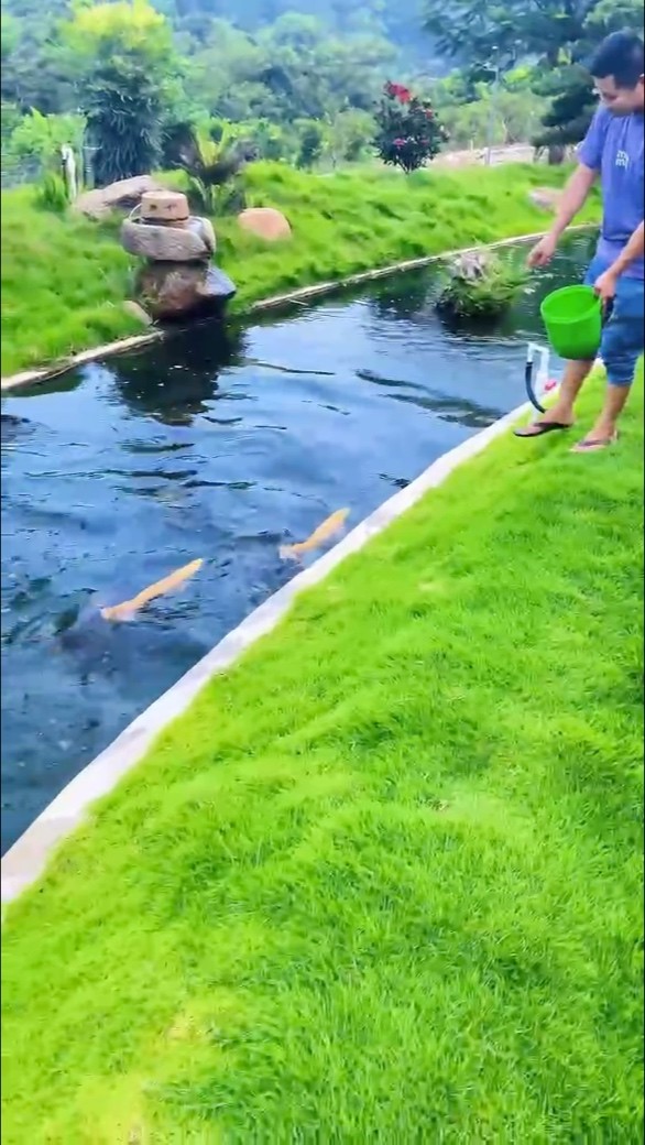 水為財，魚為靈