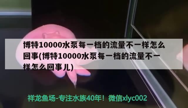 博特10000水泵每一檔的流量不一樣怎么回事(博特10000水泵每一檔的流量不一樣怎么回事兒)