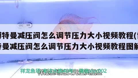 博特曼減壓閥怎么調節壓力大小視頻教程(博特曼減壓閥怎么調節壓力大小視頻教程圖解)