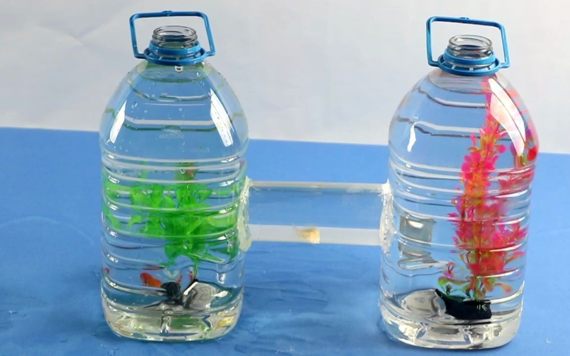 大塑料瓶diy魚缸制作：塑料瓶diy魚缸制作方法