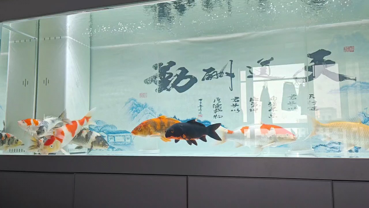水清了不少