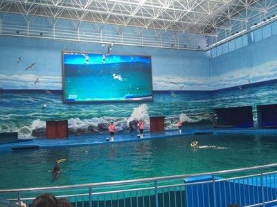 貴陽水族館vs祥龍魚場（貴陽南明海源濤水族館）