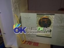 馬鞍山龍魚vs祥龍魚場（馬鞍山龍魚市場與祥龍魚場各有優勢） 馬鞍山龍魚vs祥龍魚場（馬鞍山龍魚市場與祥龍魚場各有優勢） 全國水族館企業名錄 第2張